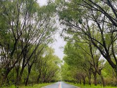 -同里国家湿地公园