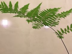 -小团圆糖水铺(襄阳南路店)