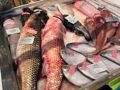 -东辰望海鱼码头·海鲜餐厅