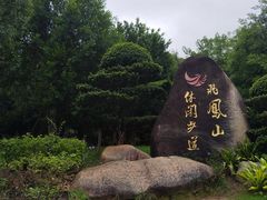 -飞凤山奥体公园