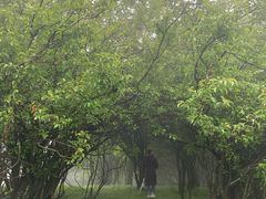 -梦幻奥陶纪景区