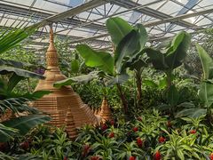 -南宫五洲植物乐园