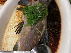 -万圣禄茶楼(西平店)