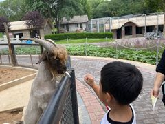 -石家庄市动物园