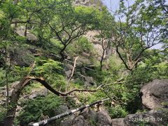 -阳台山自然风景区