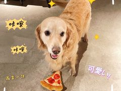 -百好乐宠物友好餐厅(朝外大街店)