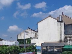 -老袁家蜜桃农场·阳山水蜜桃