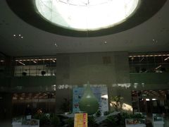 -金陵图书馆