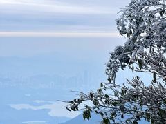 -梧桐山风景名胜区