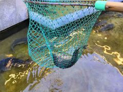 -大理老字号·舟渔的鱼野生菌海景餐厅(双廊店)