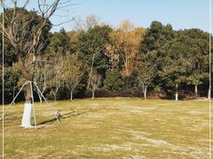 -昆山城市生态森林公园