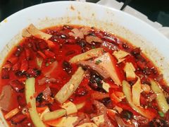 -三强鸽子(中原路店)