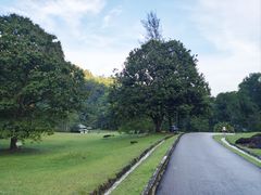 -东莞植物园