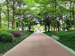 -光明港公园
