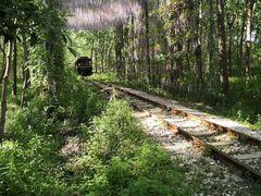 -合肥滨湖国家森林公园