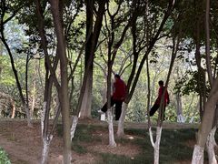 -滨湖塘西河公园