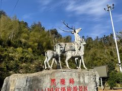 -长沙黑麋峰国家森林公园