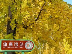 -四川大学(望江校区)
