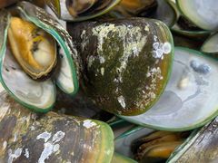 -众味海鲜大排档·活海鲜·潮汕味(南澳店)