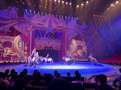 -珠海横琴长隆《卡卡虎奇遇记》