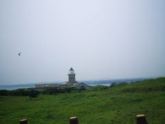 -涉地可支