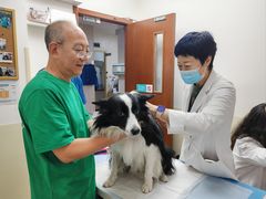 -美联众合动物医院·24h转诊中心