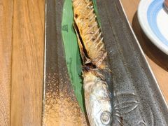 -井圣日膳(万达店)