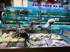 水产区-羊汤研究所(茶苑海口路店)