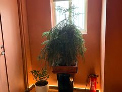 -霖公馆SPA·足道(普善路店)