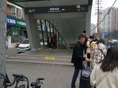 -杨柳河(地铁站)