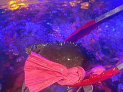 -辣螃铠盆盆蟹大排档(海昌店)