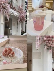 -SALON DE VANHADA