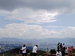 -长虫山生态公园风景林