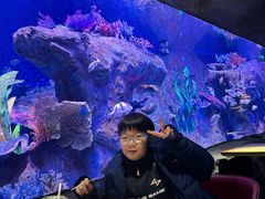 -秦皇岛新澳海底世界