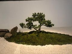 -水悦汇