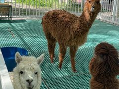 -水上乐园·欢乐世界