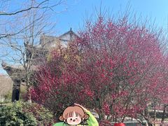 -杏花村文化旅游区