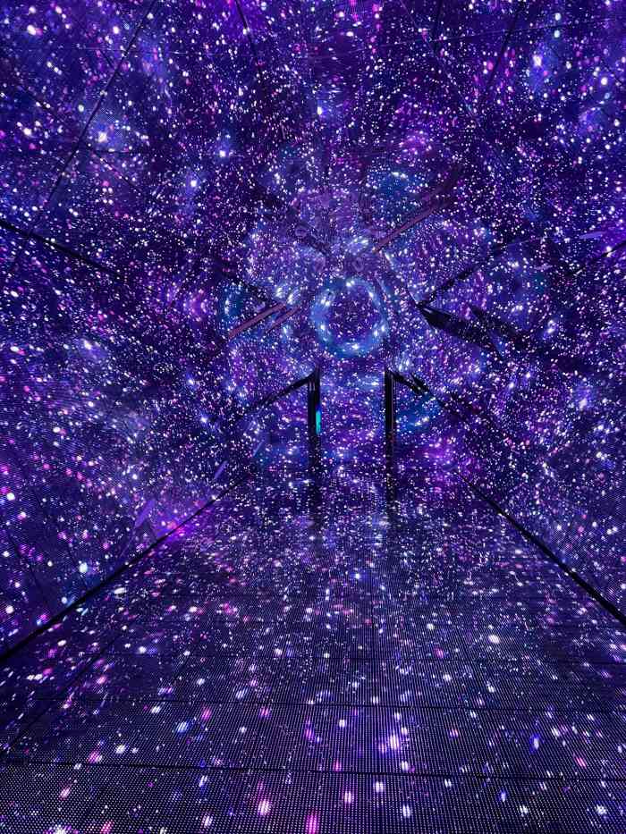 上海独角兽星空艺术馆(田子坊旗舰店)-"场馆总得来说不大,灯光挺好看