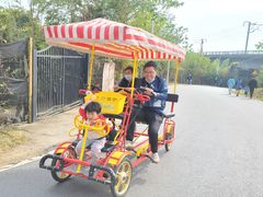 -青龙山国家森林公园