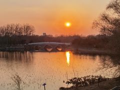 -大兴滨河森林公园