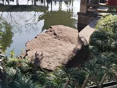 -中国湿地博物馆