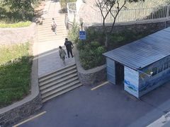 -青岛恒星科技学院