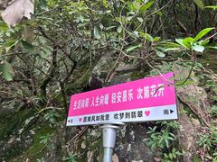 -黄山翡翠谷景区