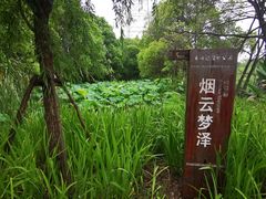-长田漾湿地公园