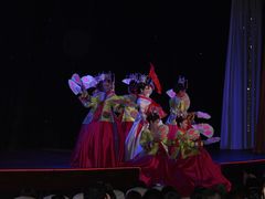 -金东尼人妖秀