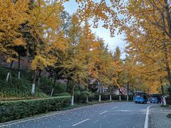 -重庆工商大学(南岸校区)