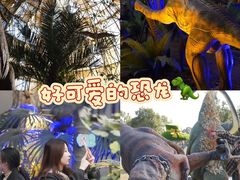-中国西峡恐龙遗迹园