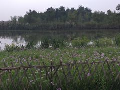 -白鹭湾湿地公园