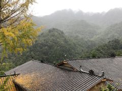 -安康凤凰山森林公园