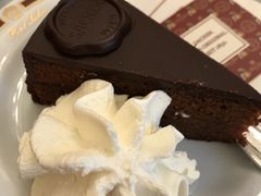 -Cafe Sacher(WIEN)